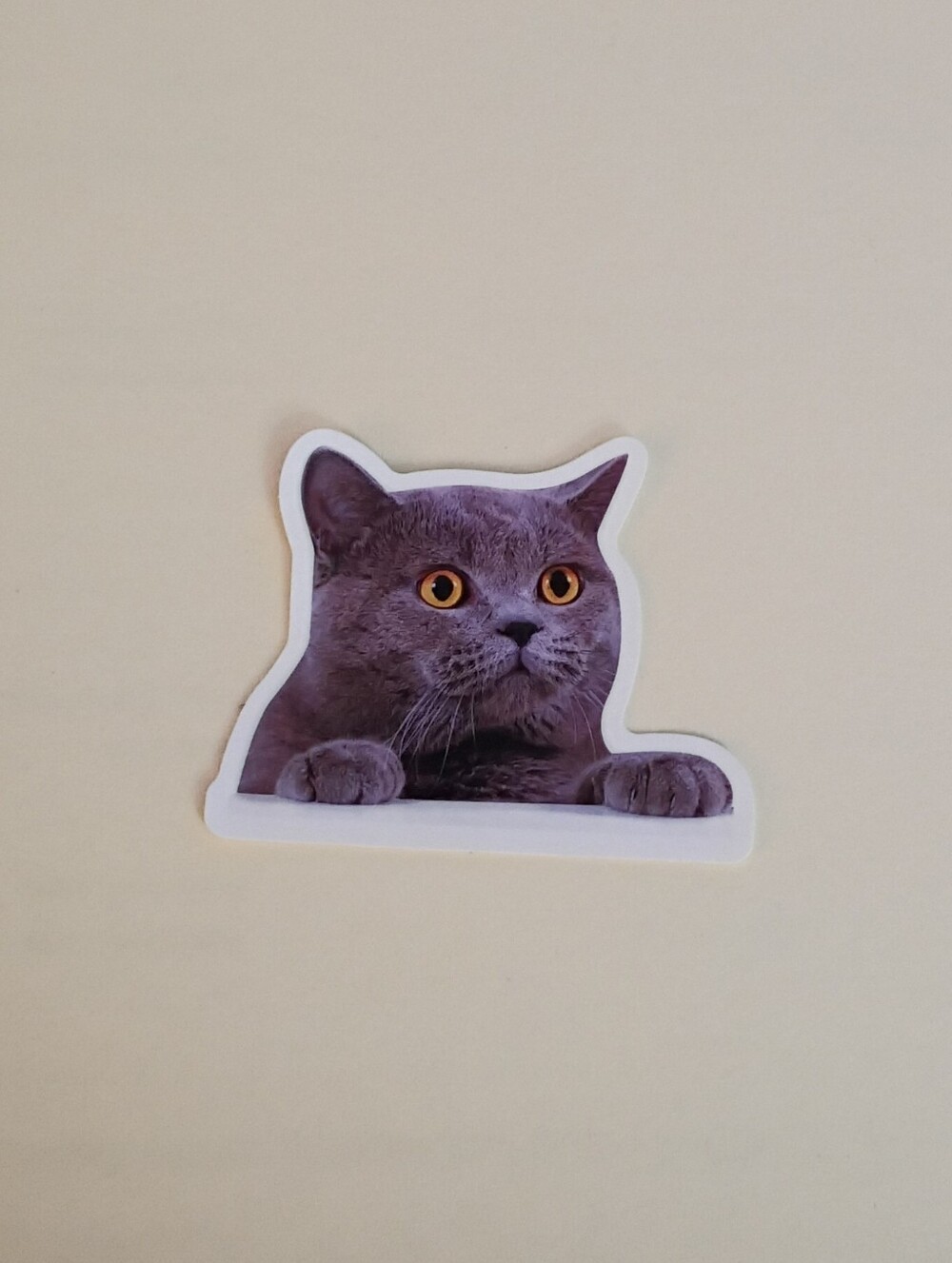 10/$10 Stickers Decal - Grey Cat Face & Paws With Yellow Eyes - New